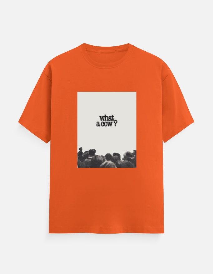 Front_1_c_33.jpg